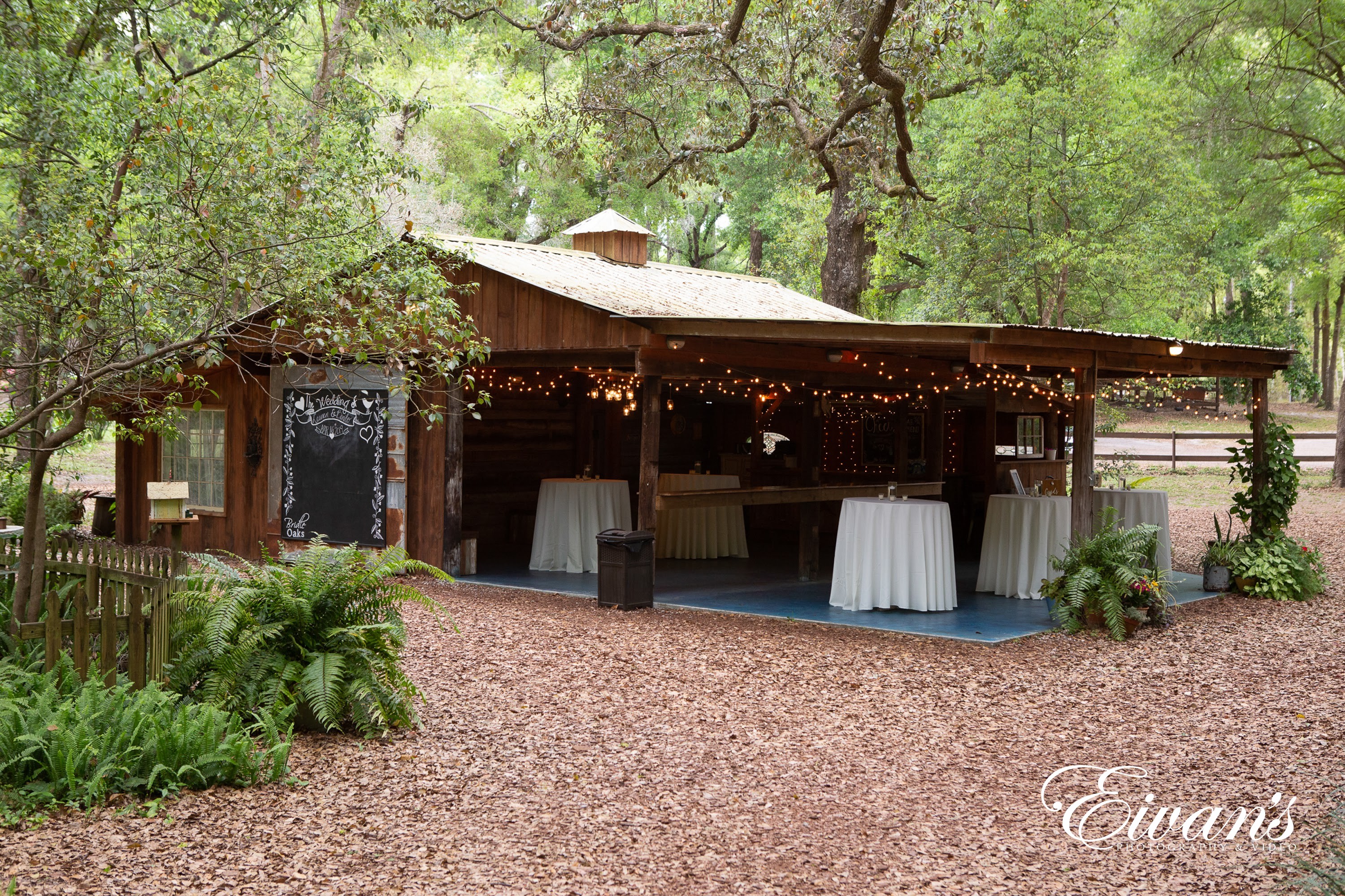 18 Tips and Ideas for a Backyard Wedding & Reception