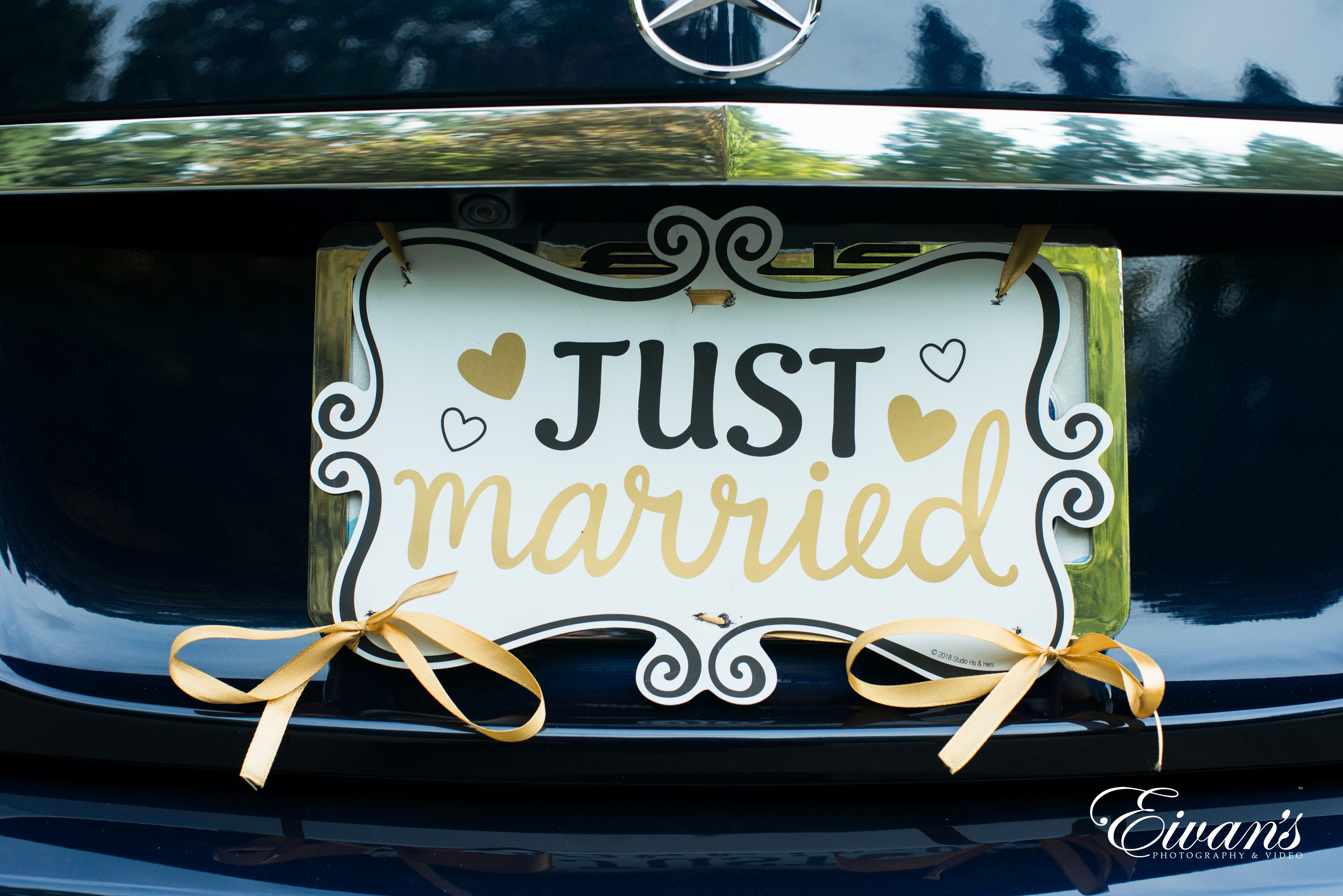Just Married Sign, Wedding Photography Services